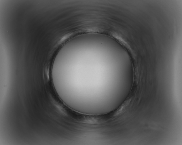 X0000086740062200705041416