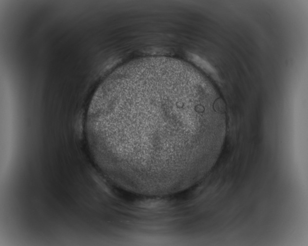 X0000086740065200705041416