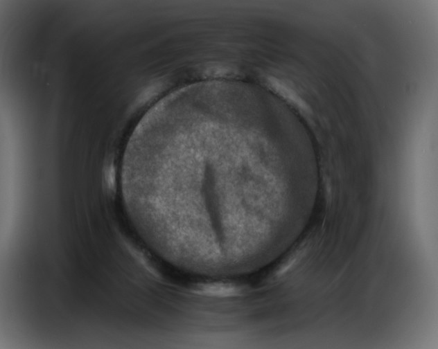 X0000086740067200705041416