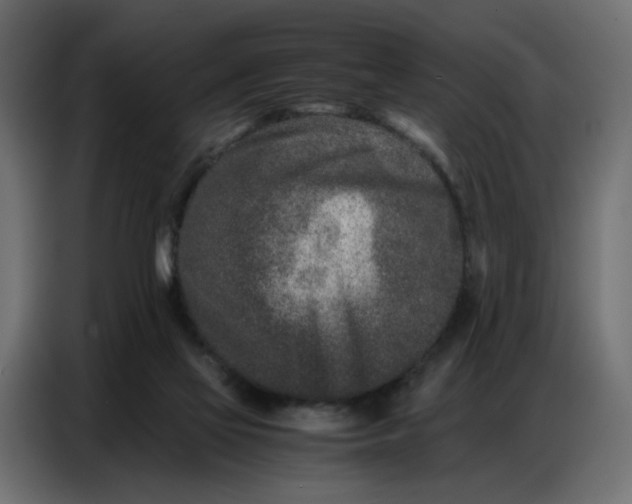 X0000086740069200705041416