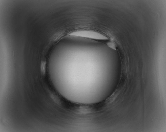 X0000086740070200705041416