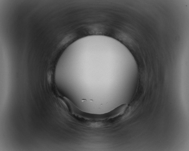 X0000086740071200705041416