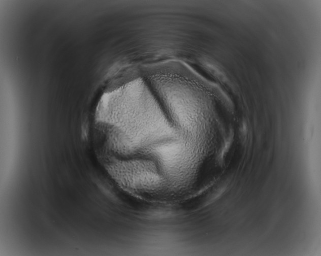 X0000086740072200705041416