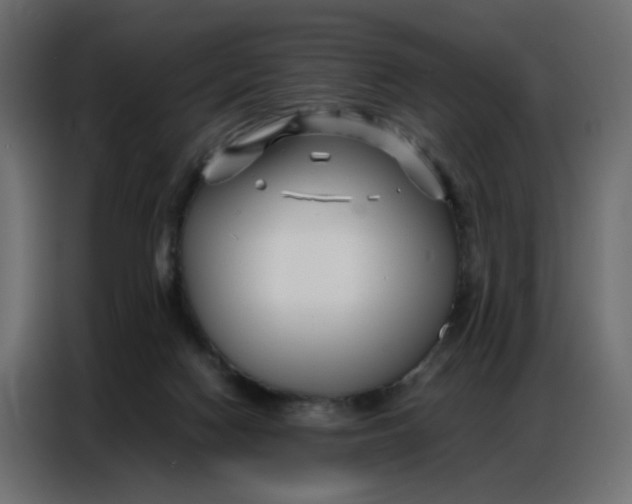 X0000086740074200705041416