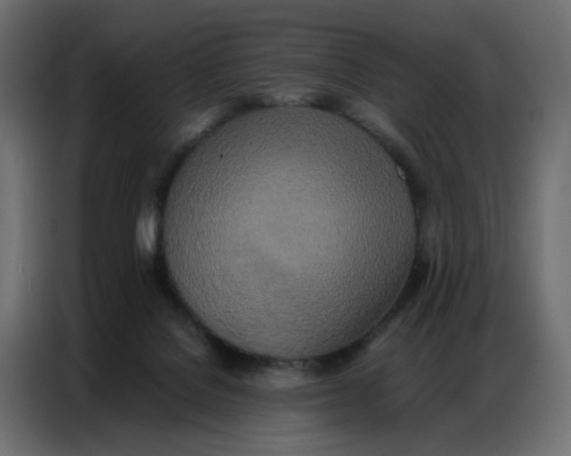 X0000086740076200705041416