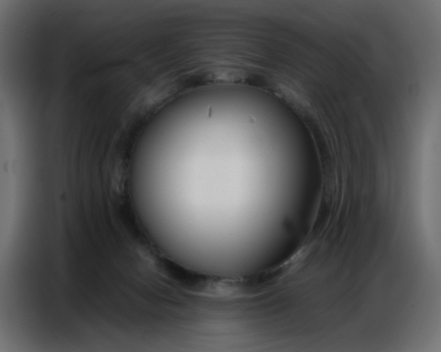 X0000086740078200705041416