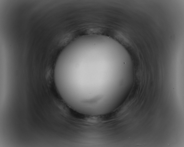 X0000086740079200705041416