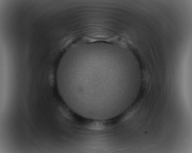 X0000086740080200705041416