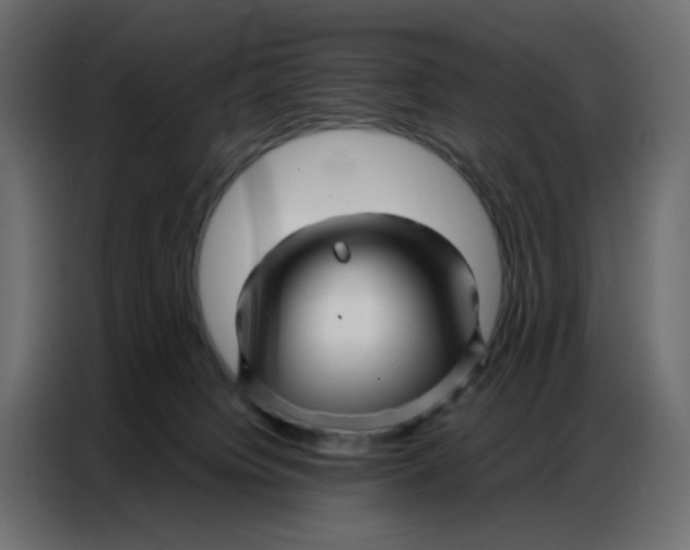 X0000086740084200705041416