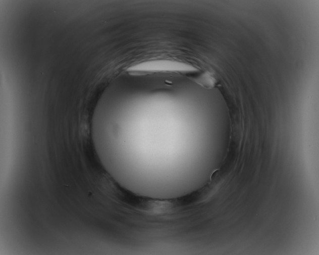 X0000086740085200705041416