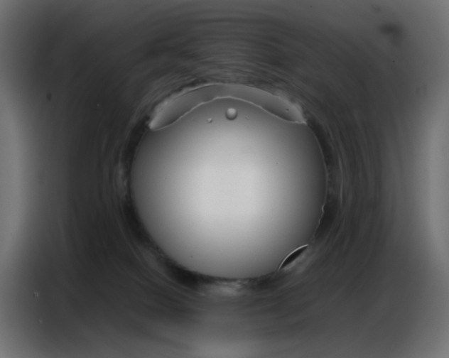 X0000086740086200705041416