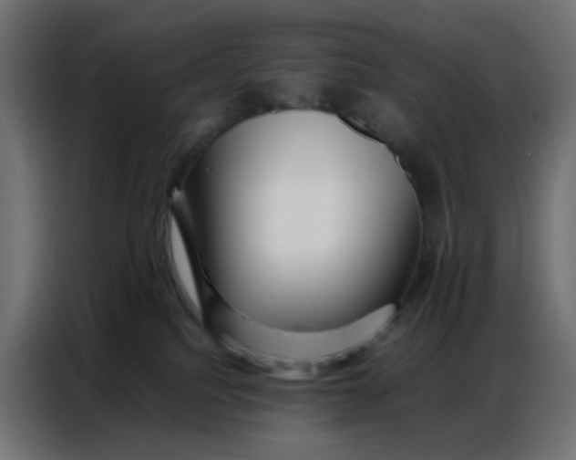 X0000086740088200705041416