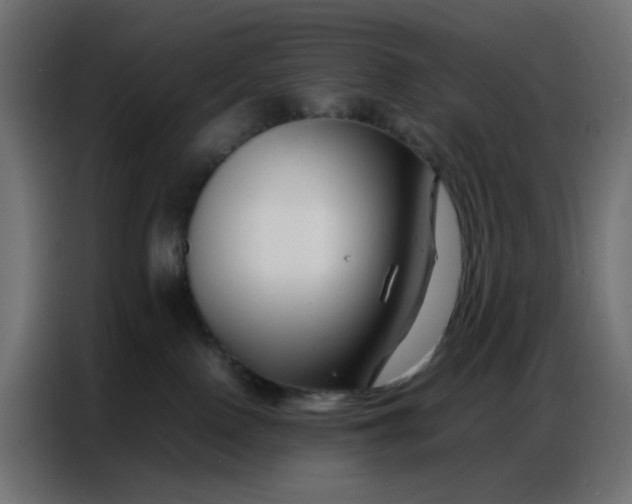 X0000086740090200705041416