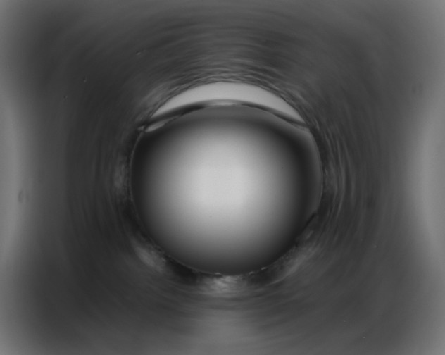 X0000086740092200705041416