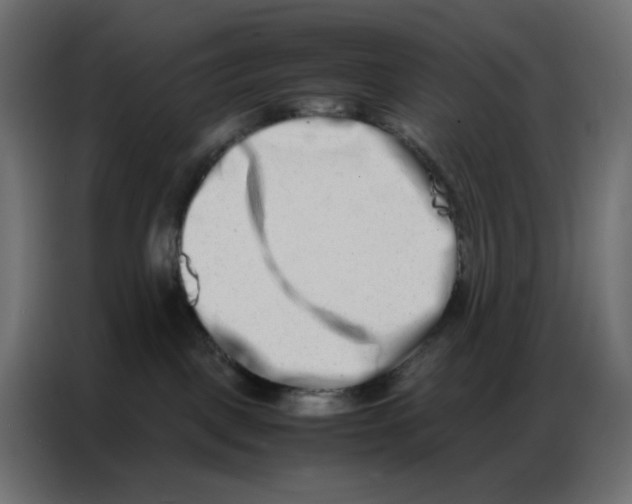 X0000086740093200705041416