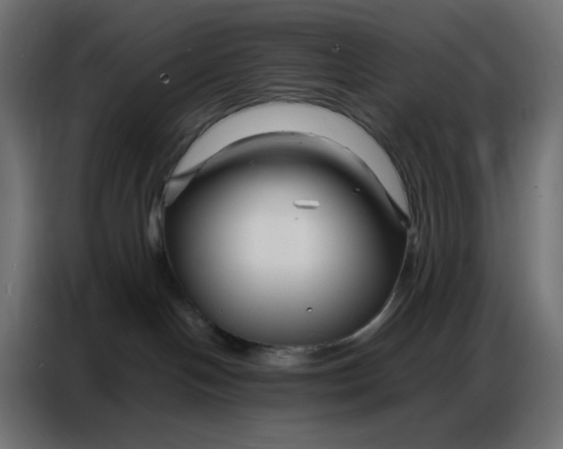 X0000086740094200705041416