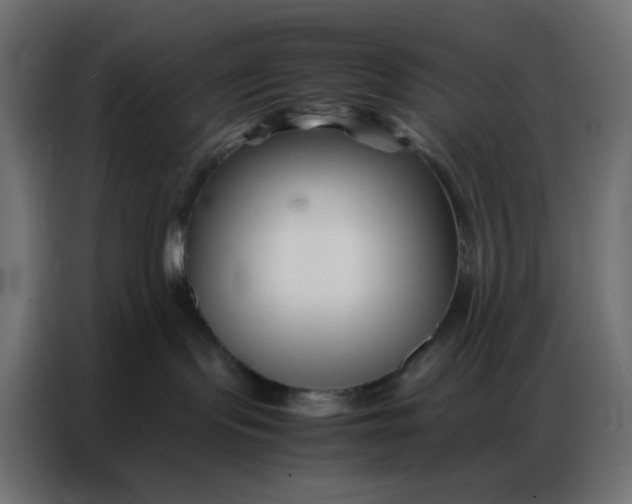 X0000086740095200705041416