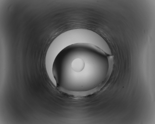 X0000086740096200705041416