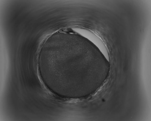 X0000086740097200705041415