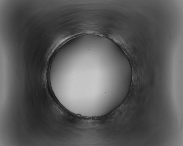 X0000086740098200705041415