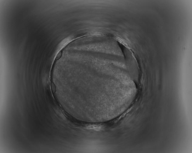 X0000086740099200705041415