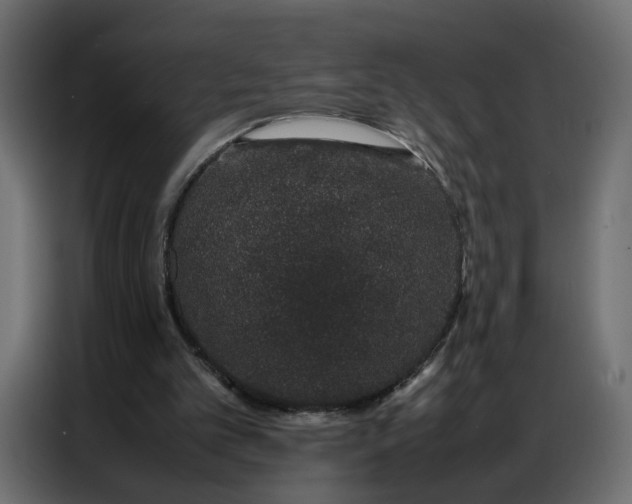 X0000086740101200705041415