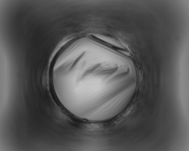 X0000086740102200705041415