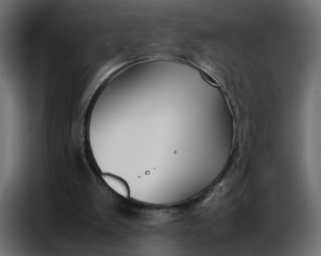 X0000086740103200705041415