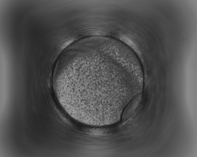 X0000086740105200705041415