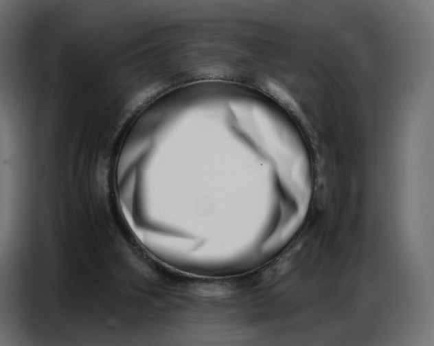 X0000086740106200705041415