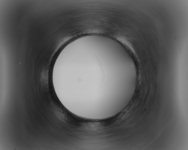 X0000086740108200705041415