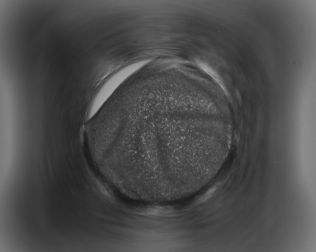 X0000086740109200705041415