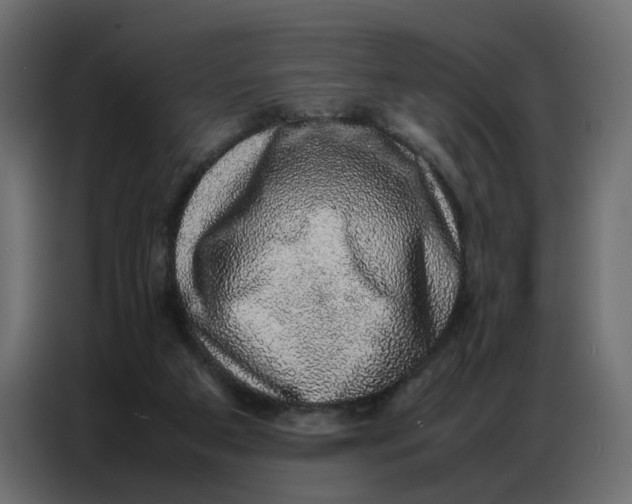 X0000086740113200705041415