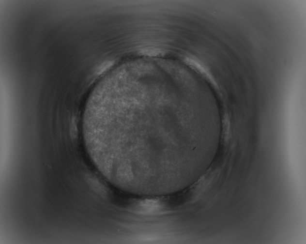 X0000086740114200705041415