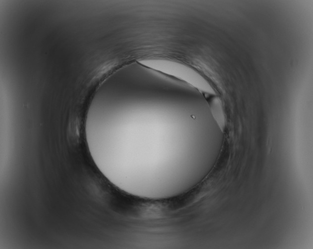 X0000086740115200705041415