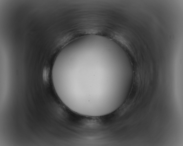 X0000086740118200705041415