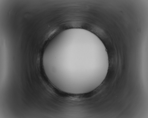 X0000086740120200705041415