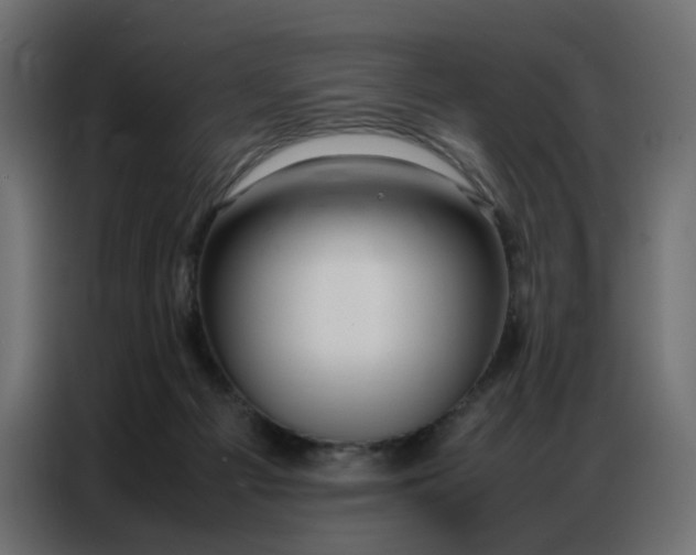 X0000086740121200705041415