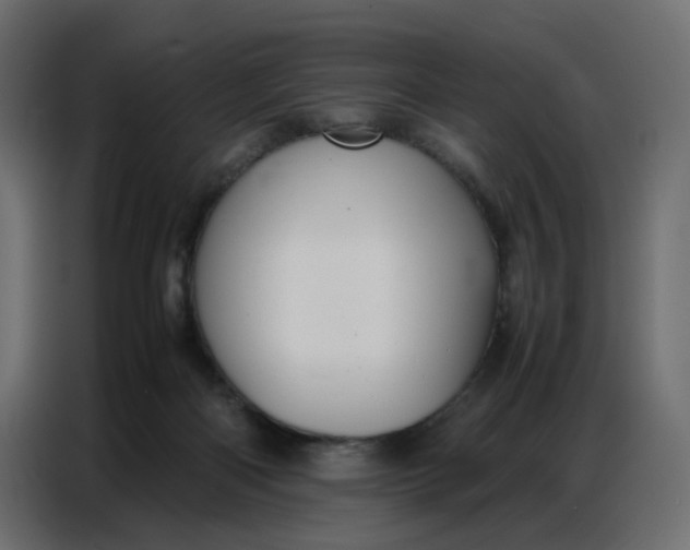 X0000086740122200705041415