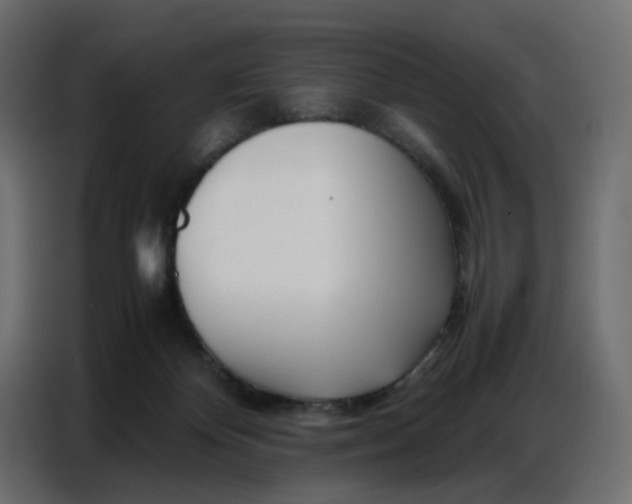 X0000086740124200705041415