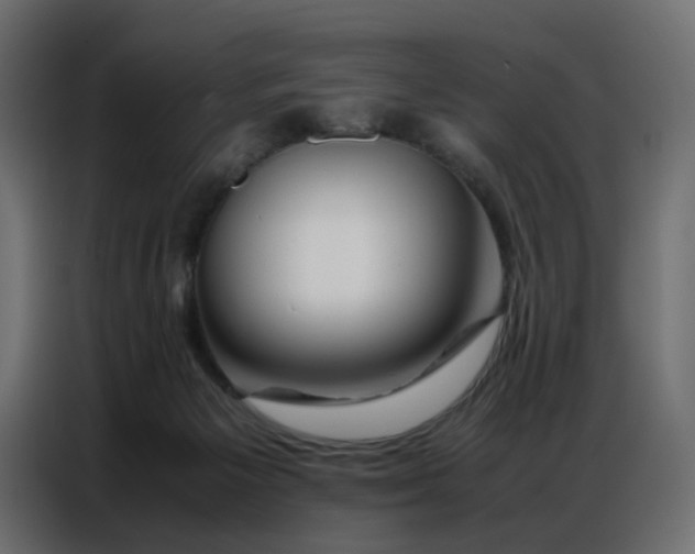 X0000086740125200705041415