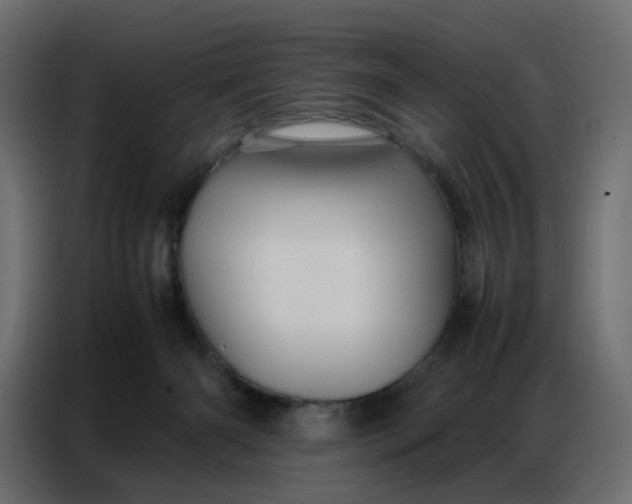 X0000086740126200705041415