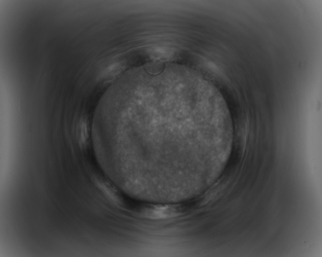 X0000086740130200705041415