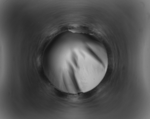 X0000086740131200705041415