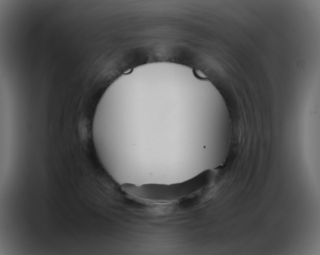 X0000086740135200705041415