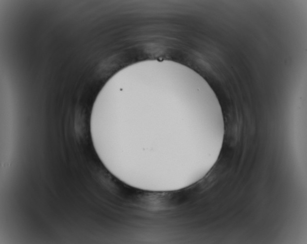 X0000086740136200705041415