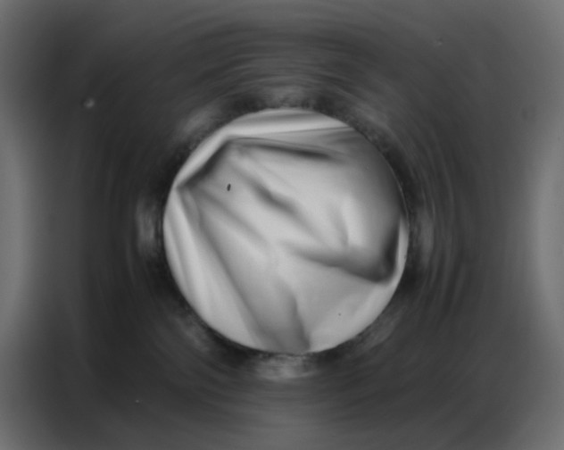 X0000086740138200705041415