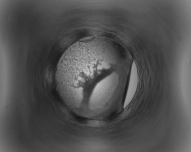 X0000086740139200705041415