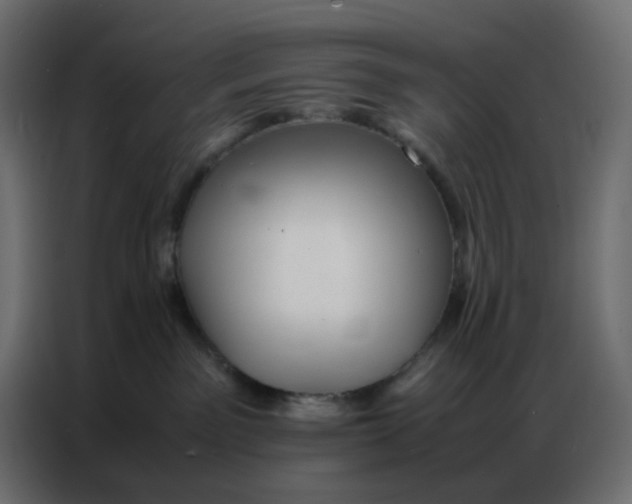 X0000086740141200705041415