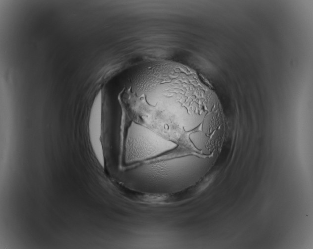 X0000086740143200705041415